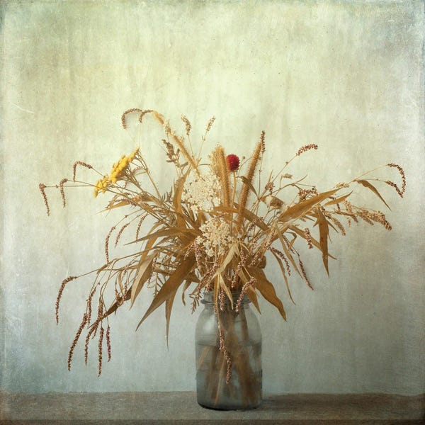 Judy Stalus: Wild Grasses by Judy Stalus