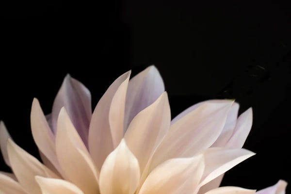 Judy Stalus: Self Reflection II by Judy Stalus