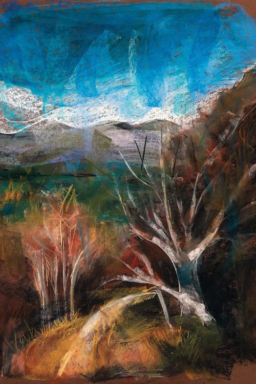 Patagonia by Stoian Hitrov wall art
