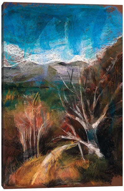 Patagonia Canvas Art Print - Stoian Hitrov