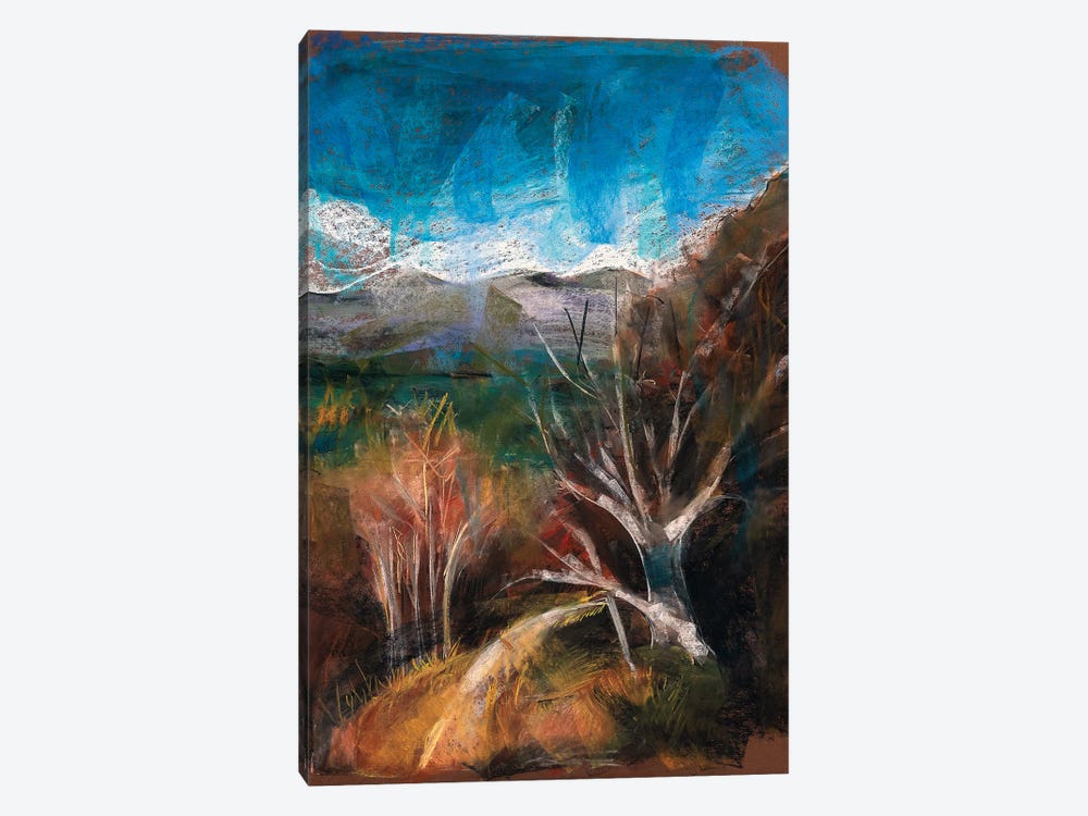 Patagonia by Stoian Hitrov 1-piece Canvas Art