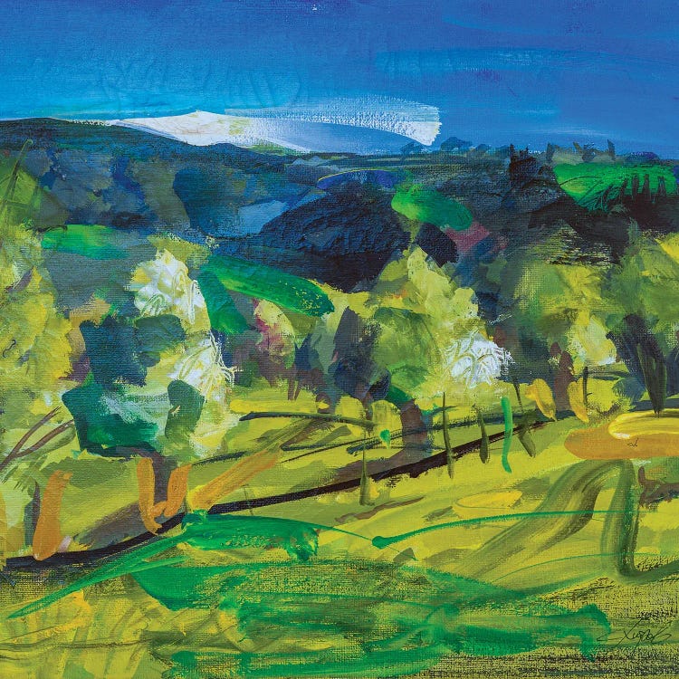 Spring Forest
