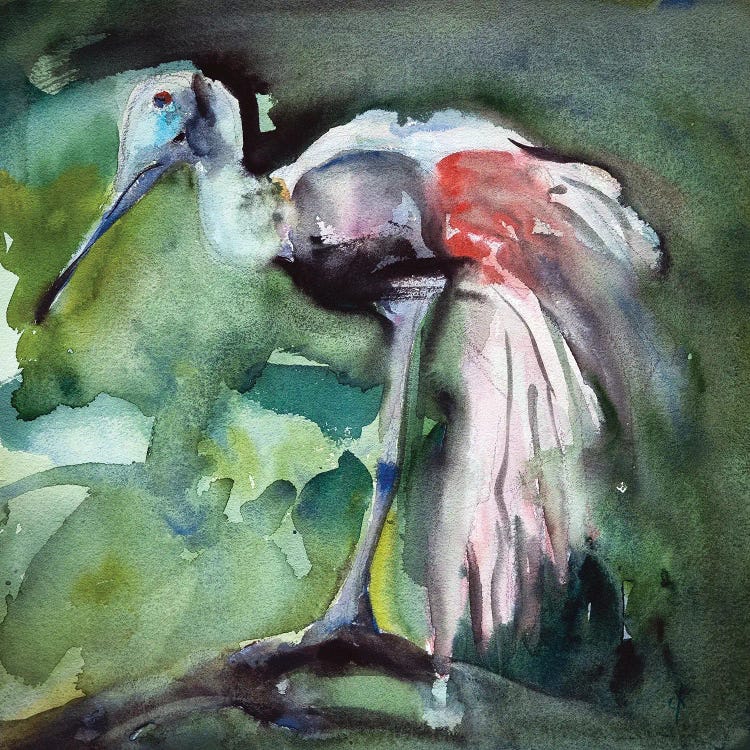 Grace In Pink A Roseate Spoonbill by Stoian Hitrov wall art
