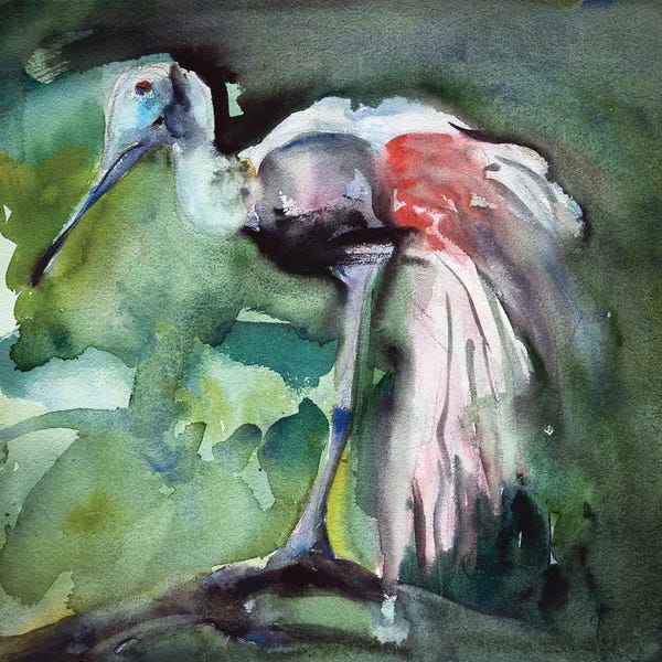 Stoian Hitrov: Grace In Pink A Roseate Spoonbill by Stoian Hitrov