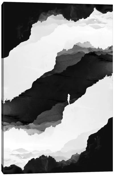 Black Isolation Canvas Art Print - Stoian Hitrov