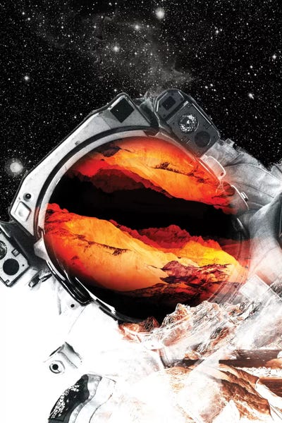 Mars Odyssey by Stoian Hitrov metal wall art