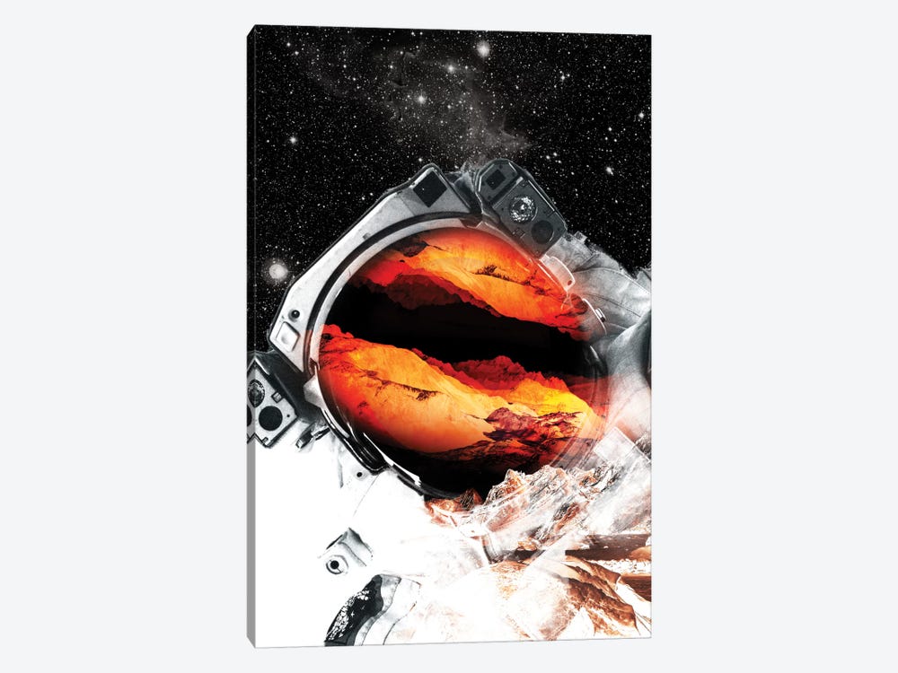 Mars Odyssey 1-piece Canvas Art Print