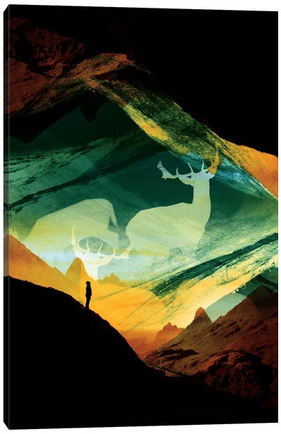 Native Dreamcatcher Canvas Art Print - Stoian Hitrov