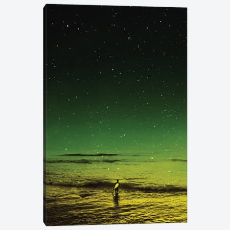 Lost Surfer Canvas Print #STO36} by Stoian Hitrov Canvas Wall Art