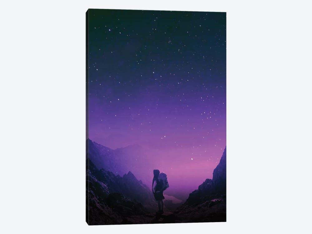 Not All Those Who Wander Are Lost by Stoian Hitrov 1-piece Canvas Wall Art