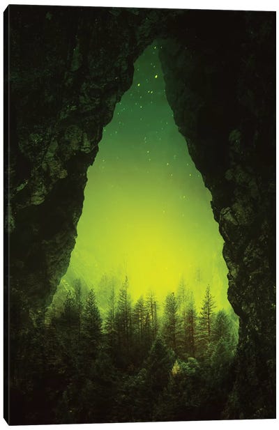 Toxic Forest Canvas Art Print - Pine Tree Art