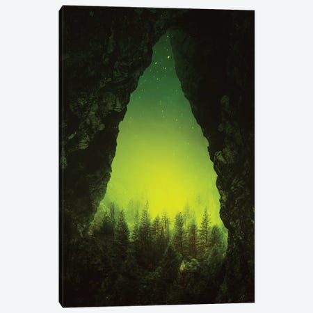 Toxic Forest Canvas Print #STO49} by Stoian Hitrov Canvas Artwork