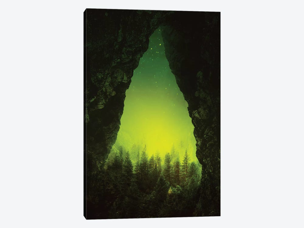 Toxic Forest by Stoian Hitrov 1-piece Canvas Art Print