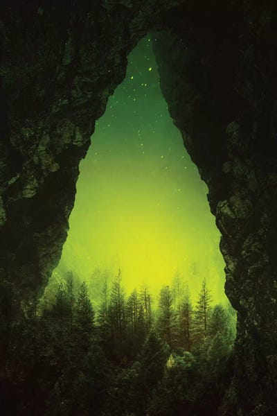 Evergreen Trees: Toxic Forest by Stoian Hitrov