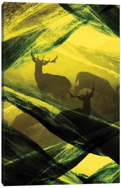 Complex Oh Deer Canvas Art Print - Stoian Hitrov