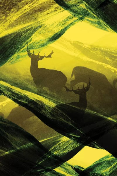 Stoian Hitrov: Complex Oh Deer by Stoian Hitrov