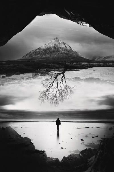Stoian Hitrov: Tree Of Life by Stoian Hitrov