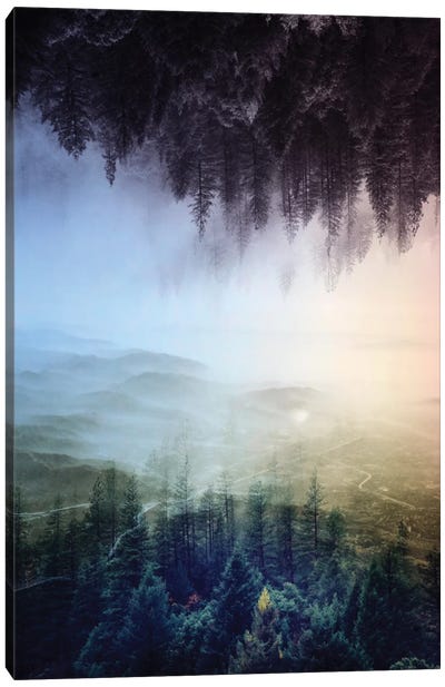 Flipped Forest Canvas Art Print - Evergreen Tree Art