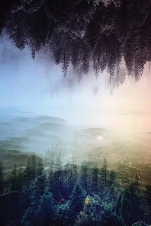 Flipped Forest by Stoian Hitrov wall art