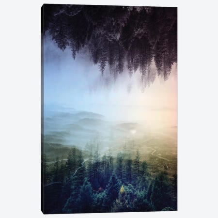 Flipped Forest Canvas Print #STO7} by Stoian Hitrov Canvas Art