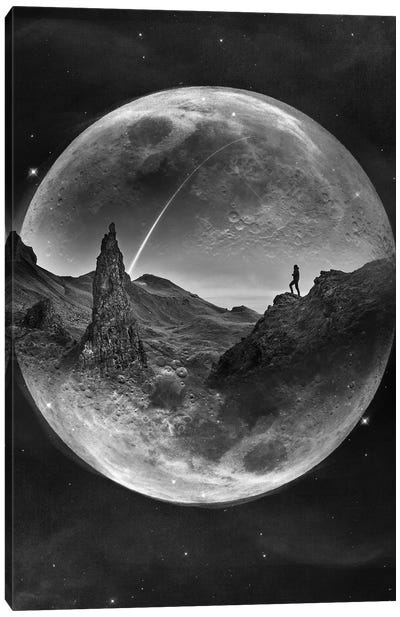 Moon Glow Canvas Art Print - Stoian Hitrov