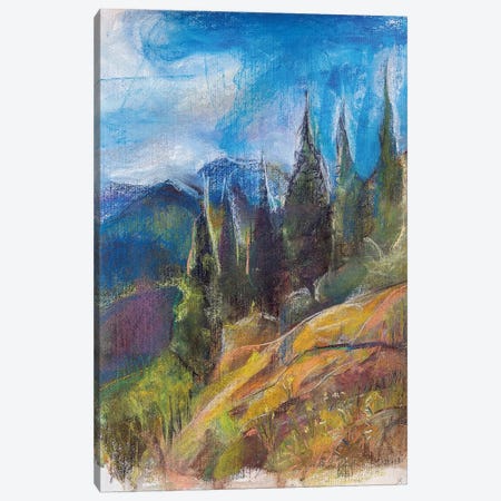 Alps Мeadow. Canvas Print #STO97} by Stoian Hitrov Canvas Artwork