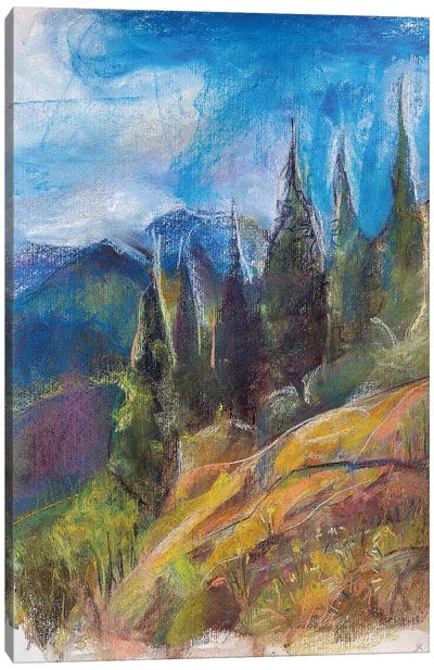 Alps Мeadow. Canvas Art Print - Stoian Hitrov