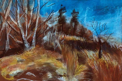 Autumn Meadow by Stoian Hitrov framed wall art