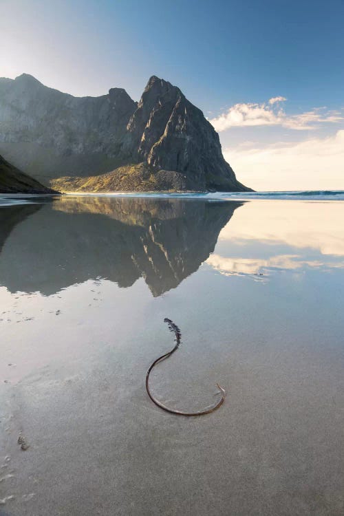 Lofoten, Norway IV