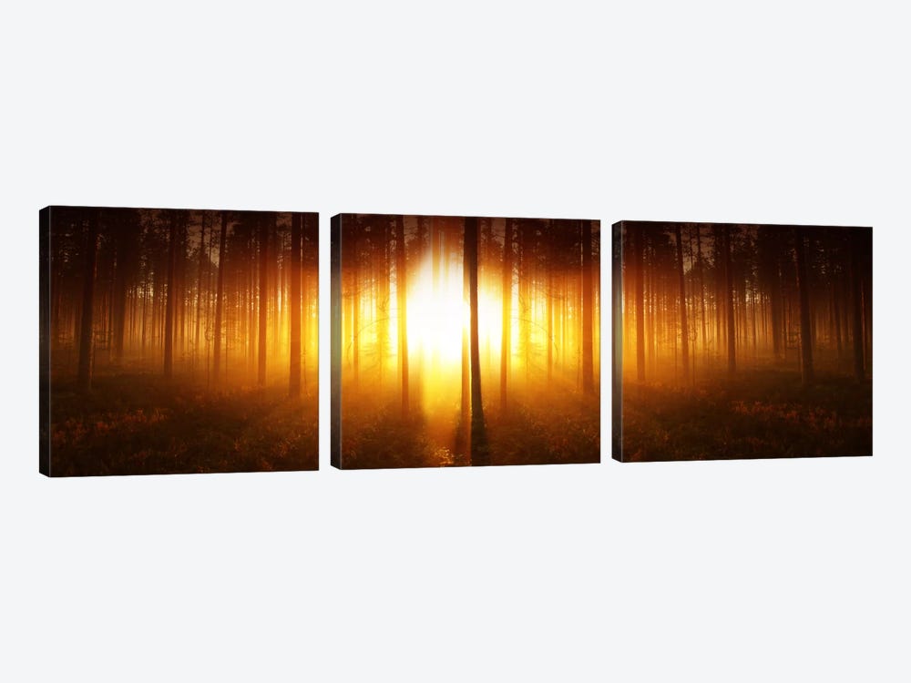 Mystic Pic by Andreas Stridsberg 3-piece Canvas Print