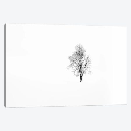Nature I Canvas Print #STR117} by Andreas Stridsberg Canvas Print
