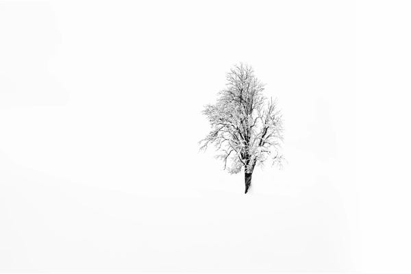 Snow: Nature I by Andreas Stridsberg