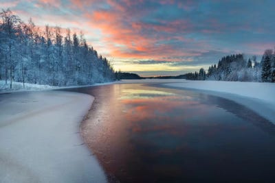 Nature II by Andreas Stridsberg acrylic art print