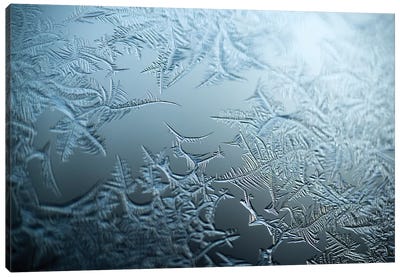 Ice Canvas Art Print - Ice & Snow Close-Up Art