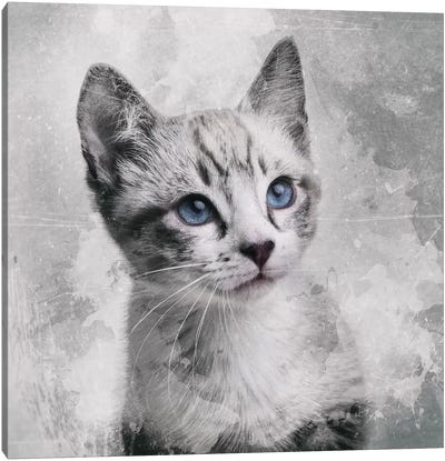 Kerstin I Canvas Art Print - Kitten Art