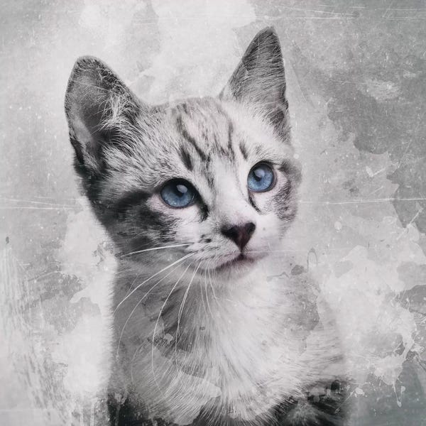 Kittens: Kerstin I by Andreas Stridsberg