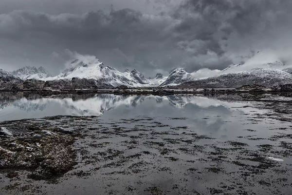 Norway: Lofoten Gray I by Andreas Stridsberg