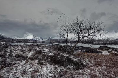 Lofoten Gray II by Andreas Stridsberg multi panel art