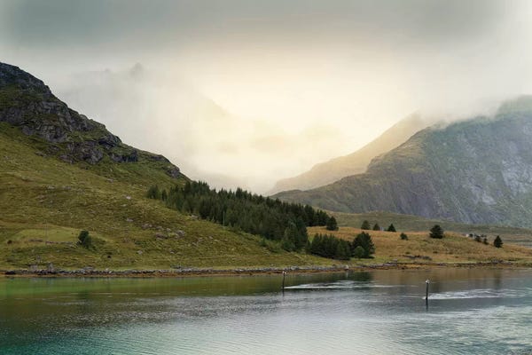 Lofoten Green