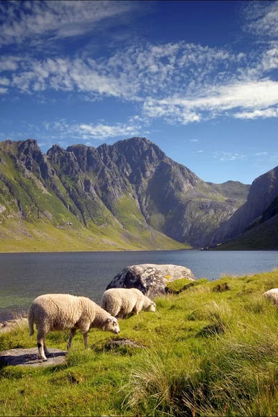 Eggum-Norway by Andreas Stridsberg canvas print