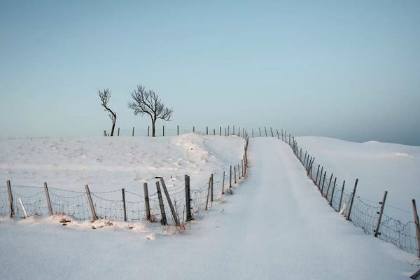 Norway: Lofoten Snow Trail by Andreas Stridsberg