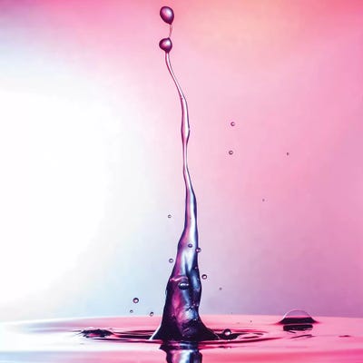 Magenta Beauty by Andreas Stridsberg framed wall art