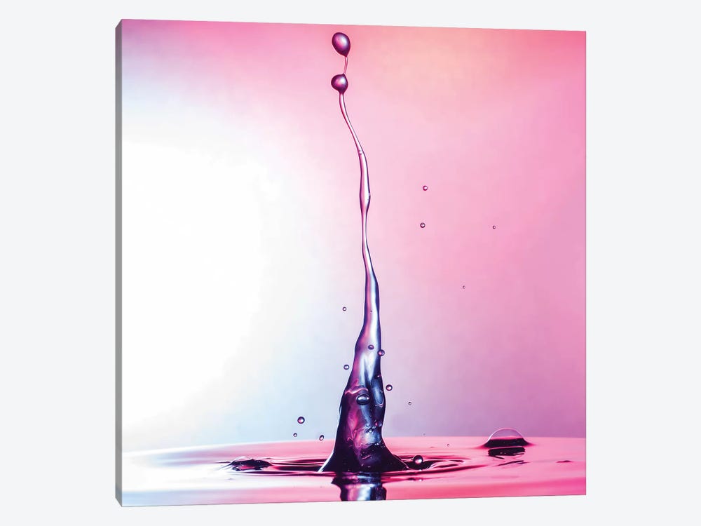 Magenta Beauty by Andreas Stridsberg 1-piece Canvas Artwork