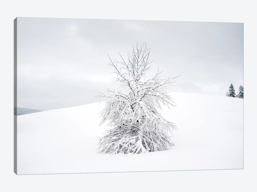 White Tree by Andreas Stridsberg 1-piece Canvas Artwork