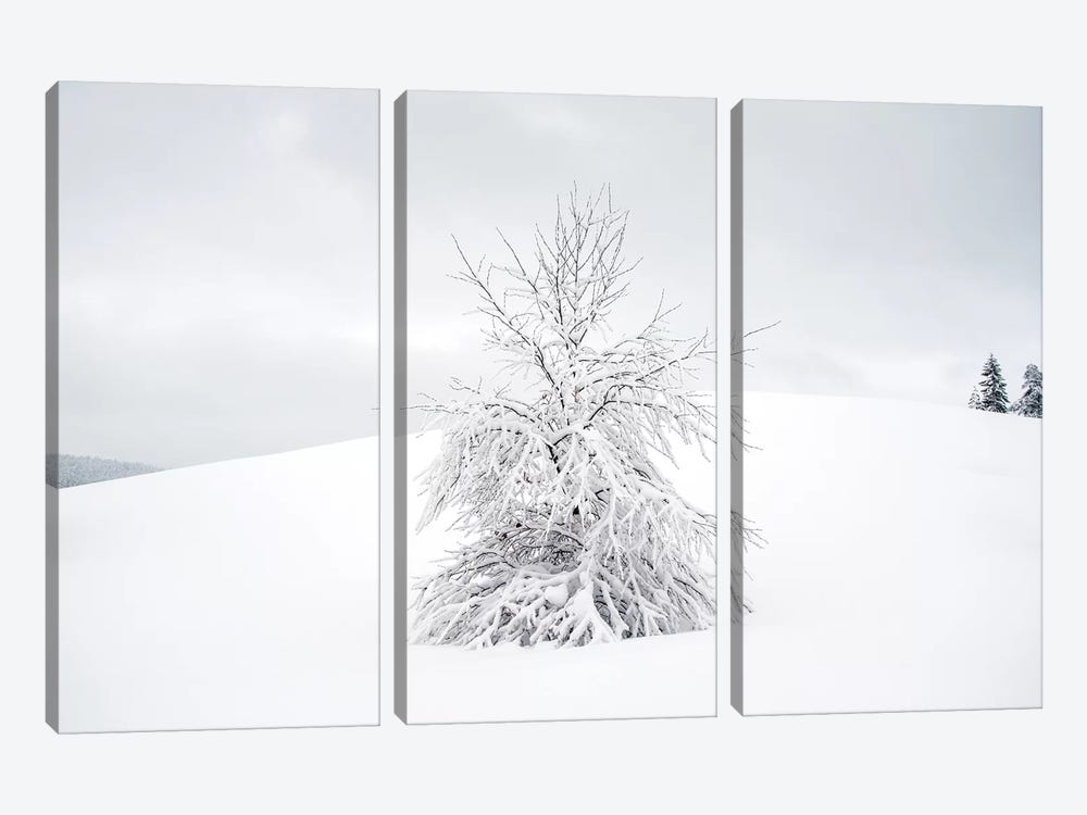 White Tree by Andreas Stridsberg 3-piece Canvas Artwork