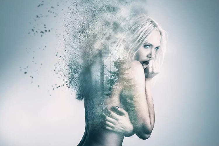 Elin by Andreas Stridsberg wall art