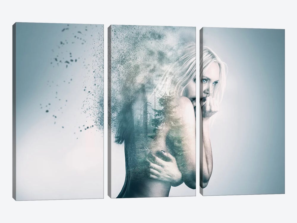 Elin by Andreas Stridsberg 3-piece Canvas Wall Art