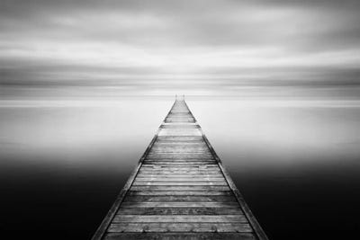 Evening Stillness-B&W by Andreas Stridsberg art print