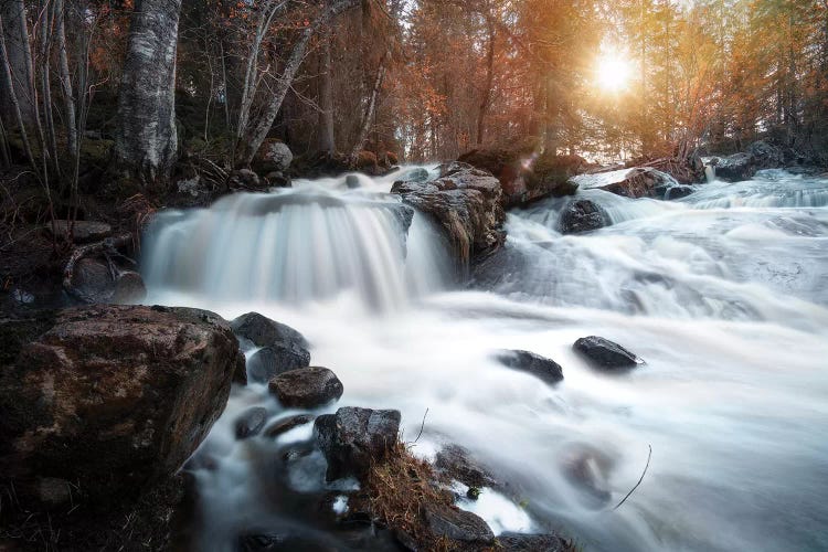 Nature I