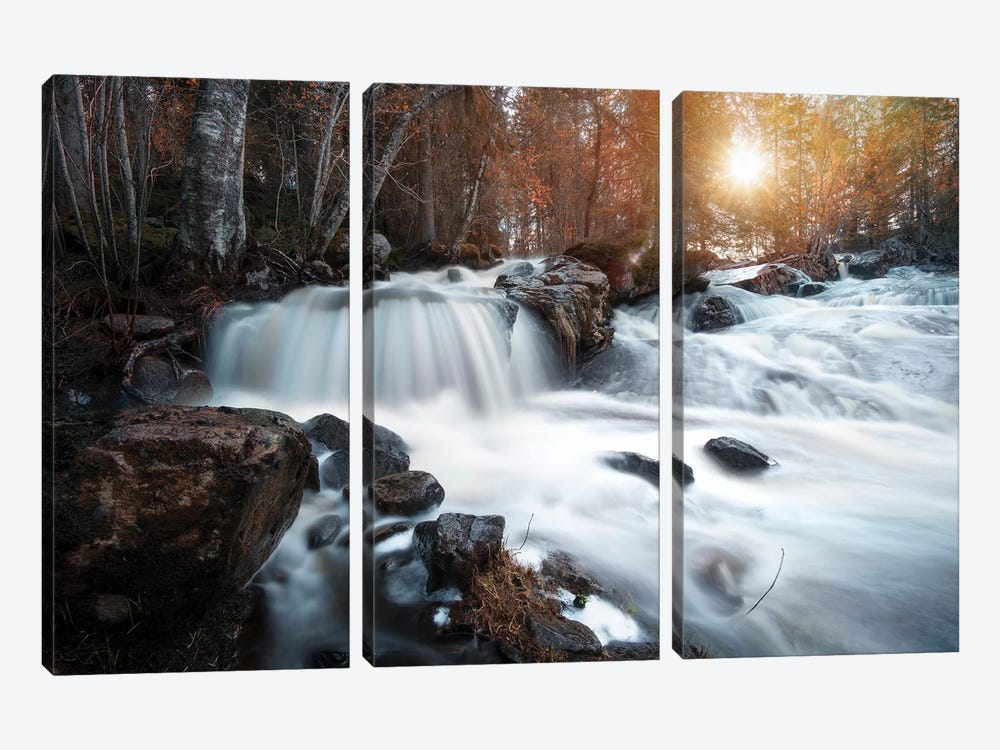 Nature I by Andreas Stridsberg 3-piece Canvas Print